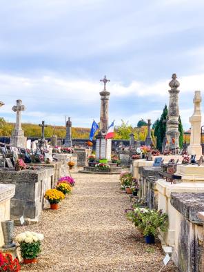 256000145_215599020696818_5336209743712756081_n